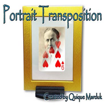Portrait transposition